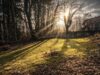 Wohnen über den Dächern – Naturnahes Zuhause mit Waldblick und viel Potenzial - Garten