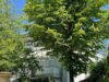 3-Zimmer-Wohnung am Waldrand – Ruhig, modern und sonnig - Nahezu uneinsehbarer Südwest-Balkon