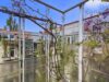 Haidhausen: Stilvolle Altbauwohnung mit Süd-Balkon, Aufzug & großem Entwicklungspotenzial - Balkon West Ausblick