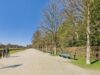 Top-Lage München-Nymphenburg: Doppeltes Investment mit sofortigen Mieteinnahmen - Nahegelegener Schlosspark / Erholungsgebiet